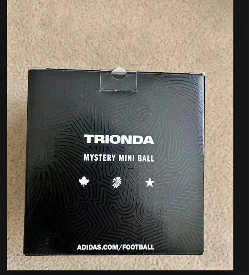 FIFA World Cup 2026 Trionda Mystery Mini USA Soccer Ball