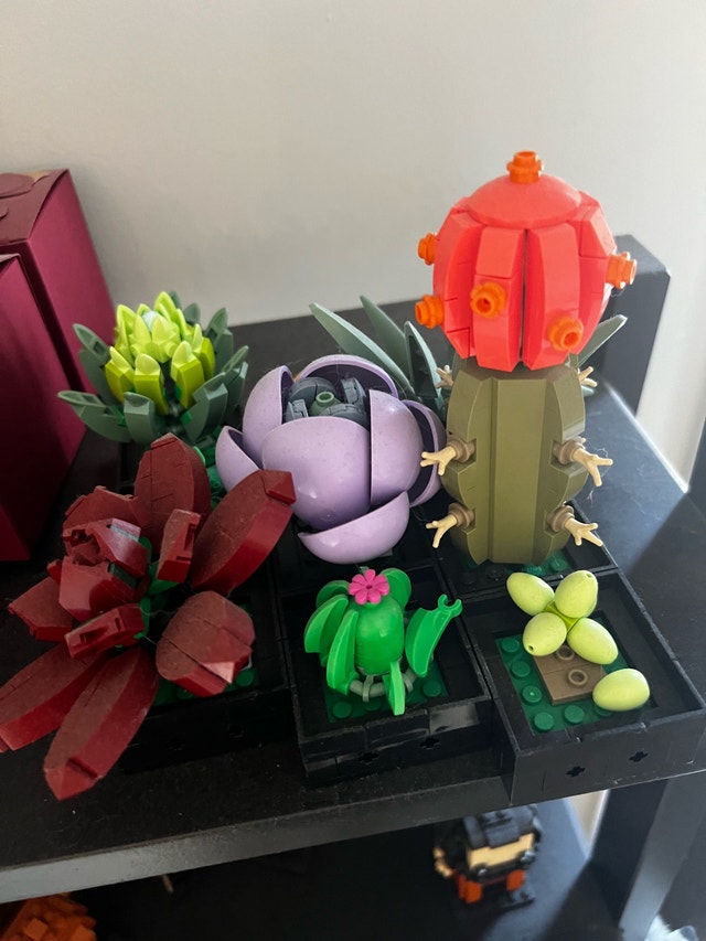 LEGO Succulents