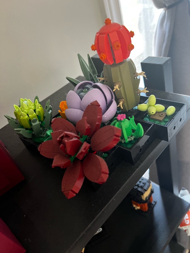 LEGO Succulents - photo 2