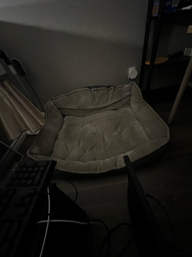 Pet Bed