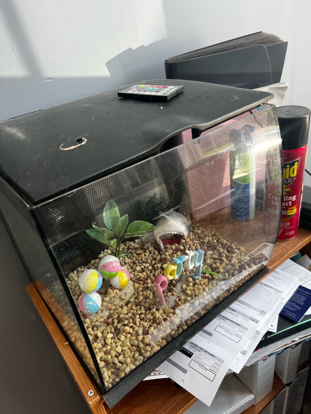 Fluval Flex Aquarium