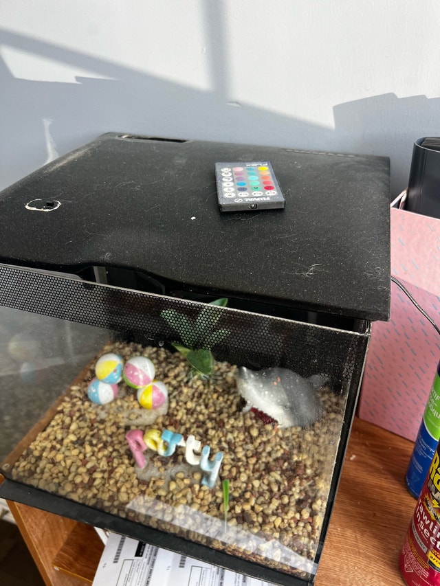 Fluval Flex Aquarium - photo 2