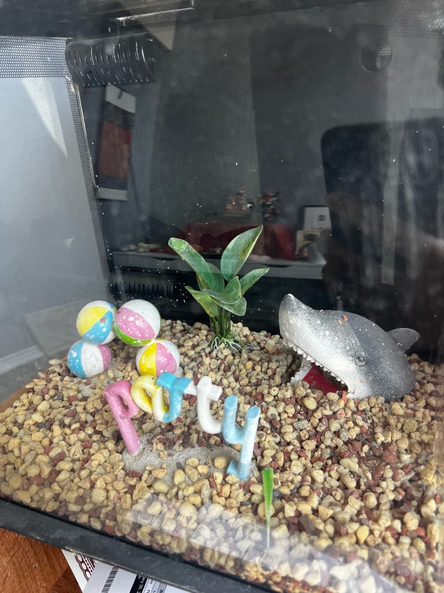 Fluval Flex Aquarium - photo 3