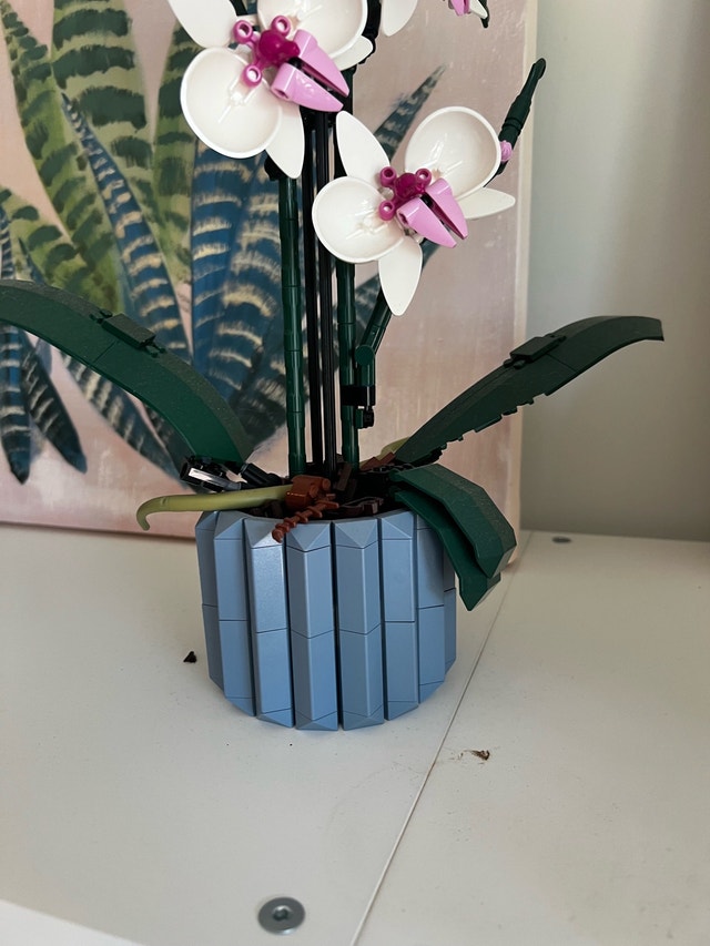 LEGO Orchid 10311 - photo 2