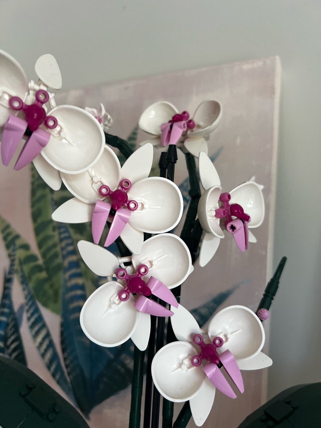 LEGO Orchid 10311 - photo 3