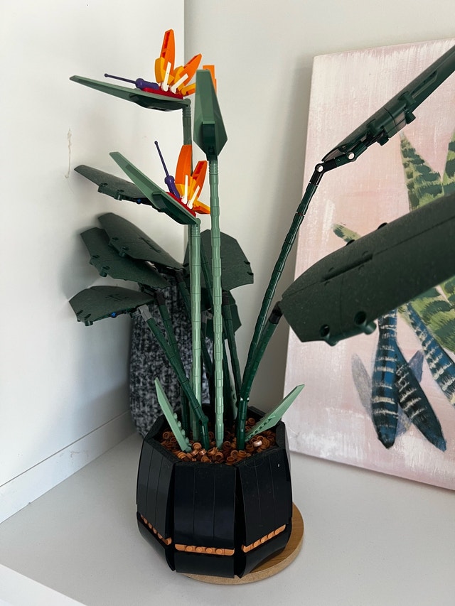 LEGO Bird of Paradise Botanical Collection - photo 2