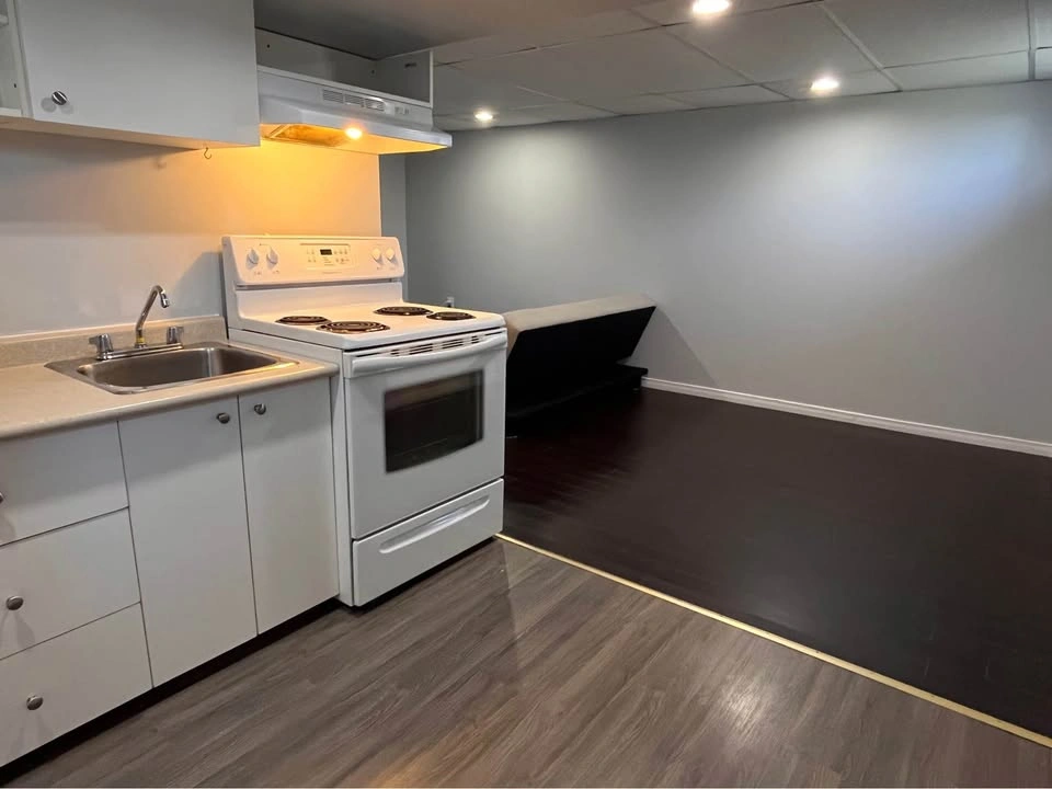 1 Bed 1 Bath - Apartment - photo 3