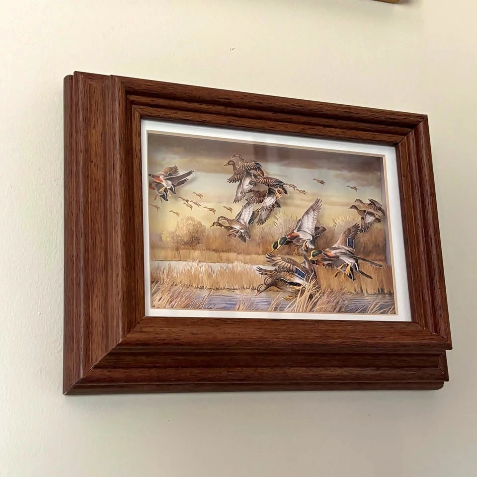3D Mallard Duck Shadow Box Art