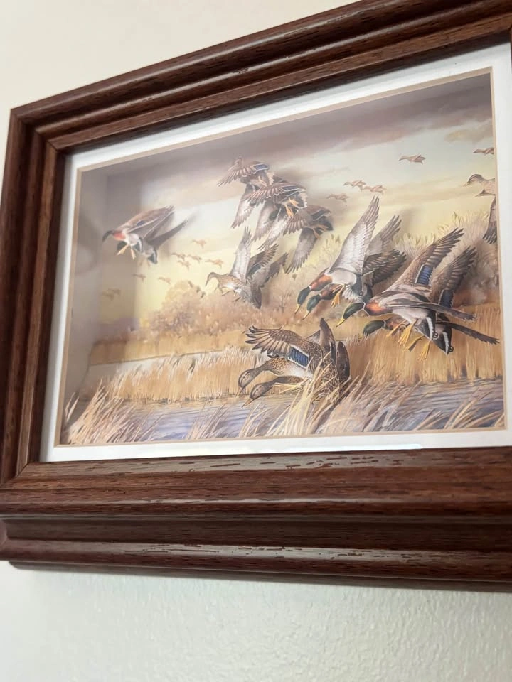 3D Mallard Duck Shadow Box Art - photo 3