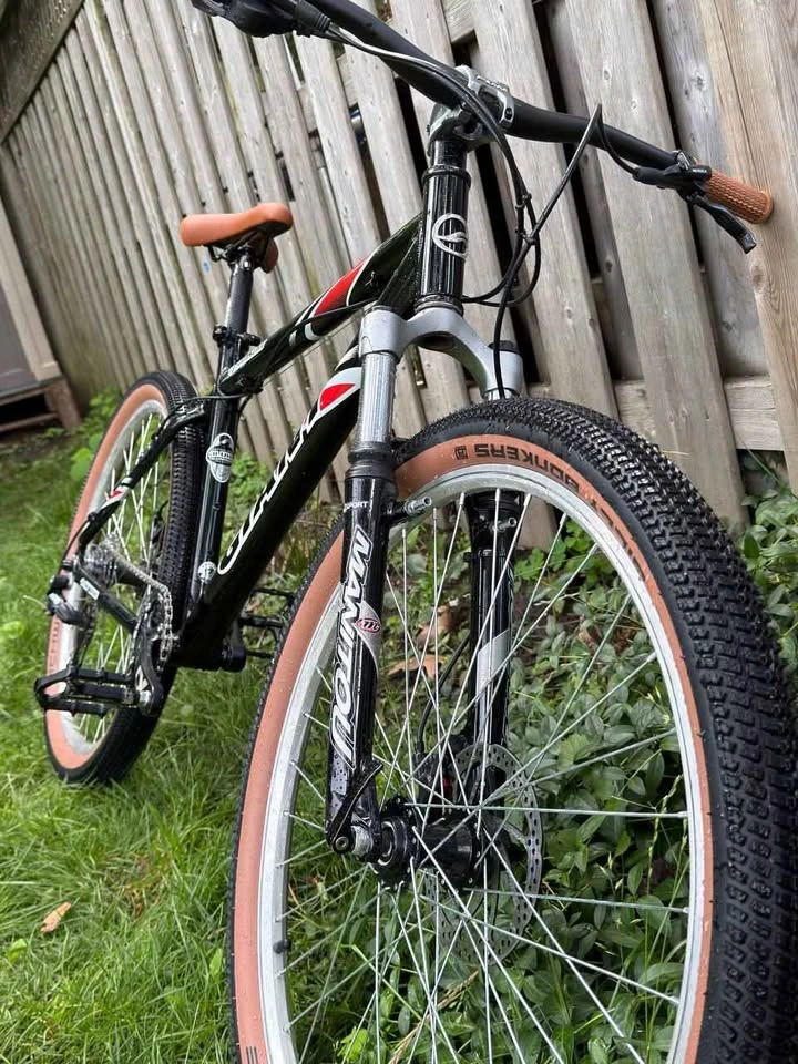 Custom Build Giant Yukon – Light & Bulletproof Street/Dirt Rig - photo 4