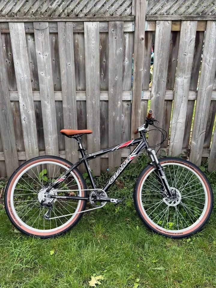 Custom Build Giant Yukon – Light & Bulletproof Street/Dirt Rig - photo 5