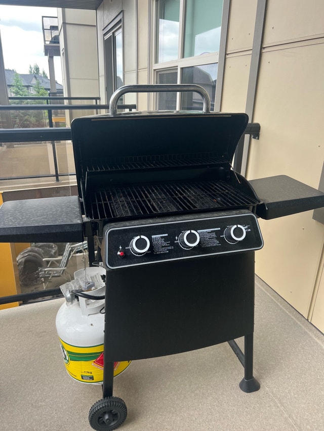 Master Chef BBQ - photo 2