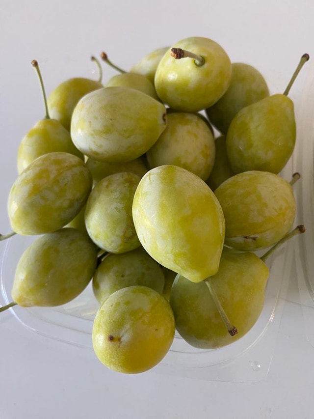 Green gage plum tree for sale - photo 5