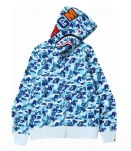 Bape Hoodies (1of1s)