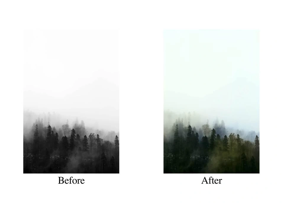 I will colourize your photo for you
