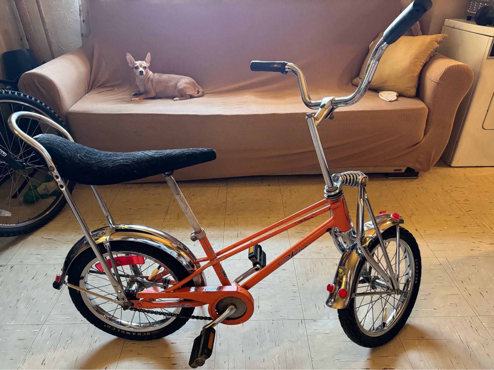 Classic Schwinn