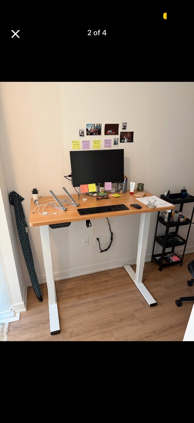 Dual Motor Standing Desk 48x24 (Mint Condition)
