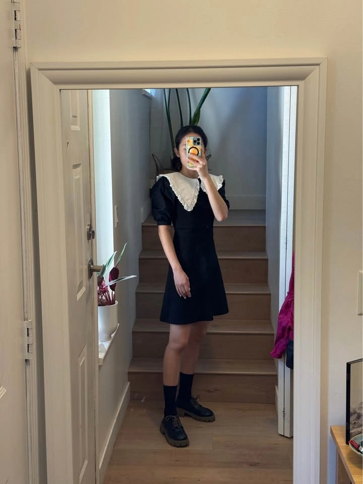 Zara Peter Pan Collar Mini Dress - photo 2