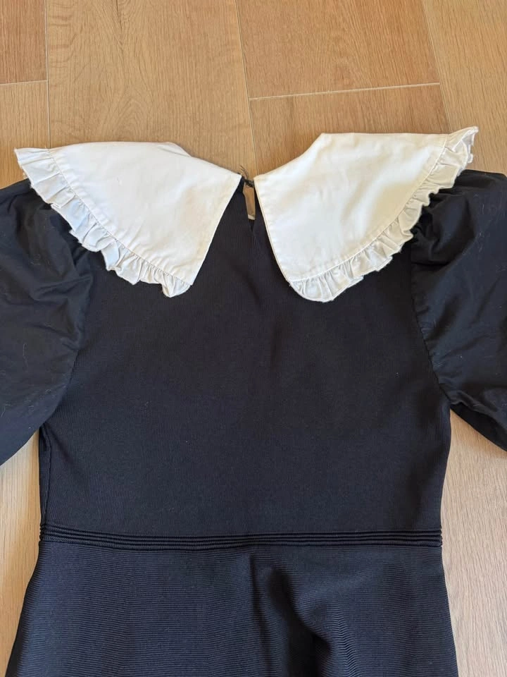 Zara Peter Pan Collar Mini Dress - photo 4
