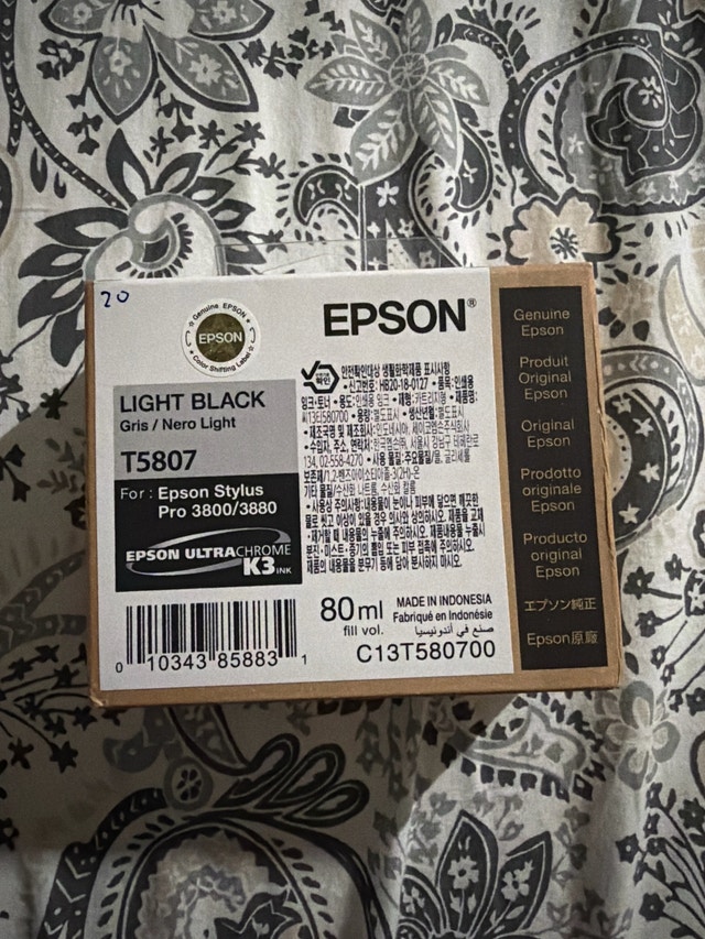 Epson T5807 Light Black Ink Cartridge