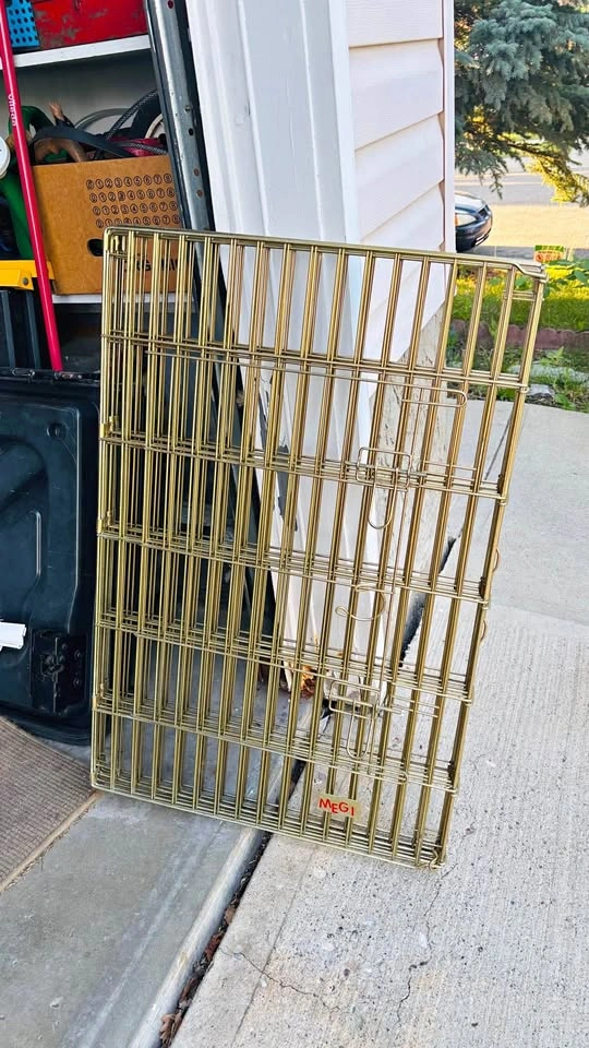 MEGI Gold Metal Pet Exercise Pen