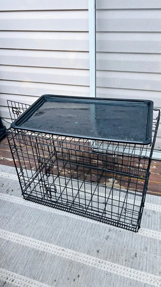 Top Paw Black Wire Dog Crate (Medium) 30”L x 21”H