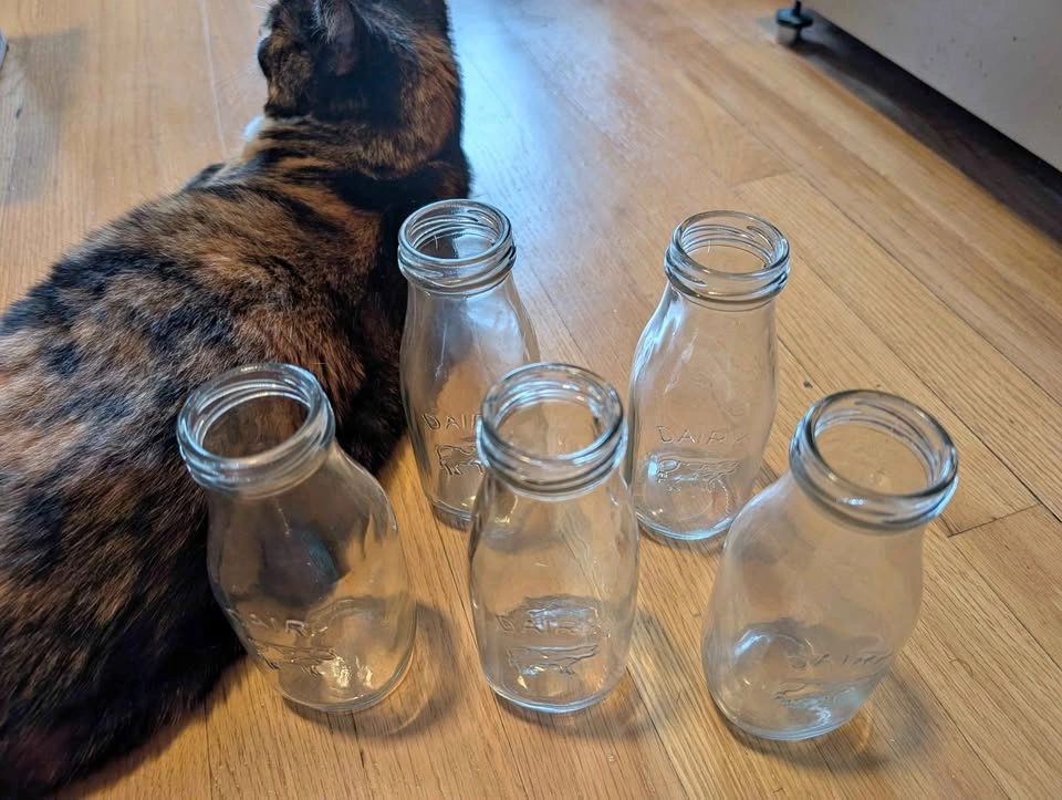 Glass Dairy Milk Bottles with Cow Embossing