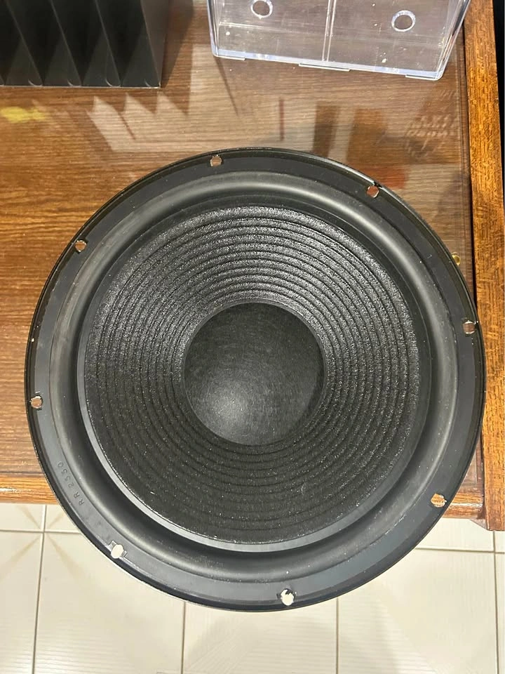 10 inch subwoofer