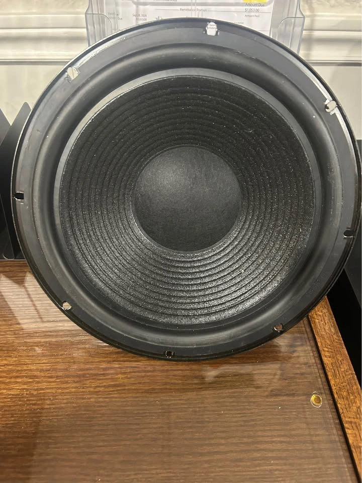 10 inch subwoofer - photo 2