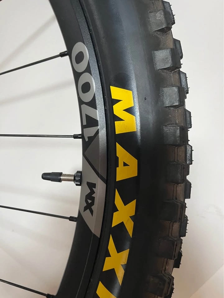 DT Swiss XM 1700 Front Wheel 29” - photo 3