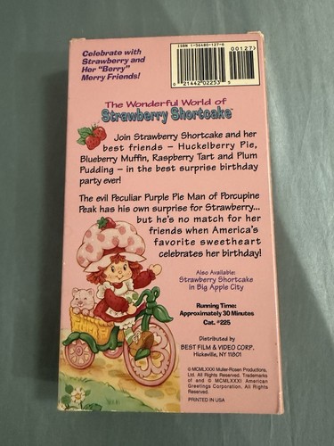 The Wonderful World of Strawberry Shortcake (VHS, 1981) – RARE - photo 3
