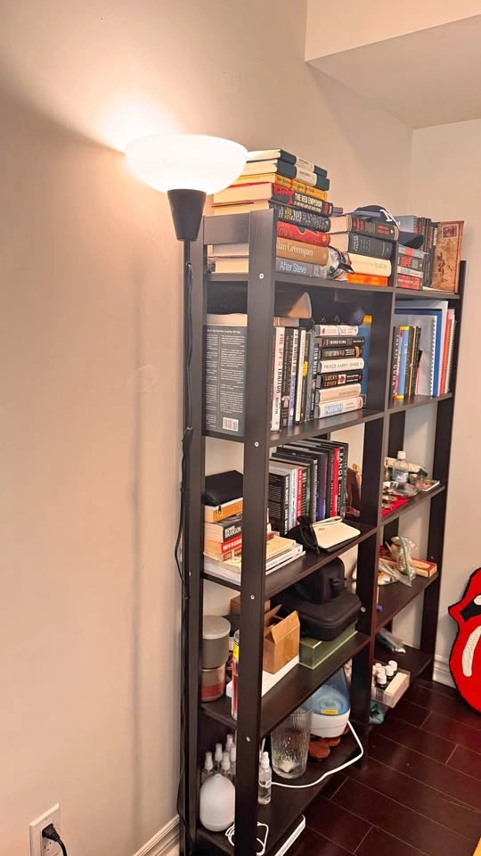 2 IKEA Bookshelves
