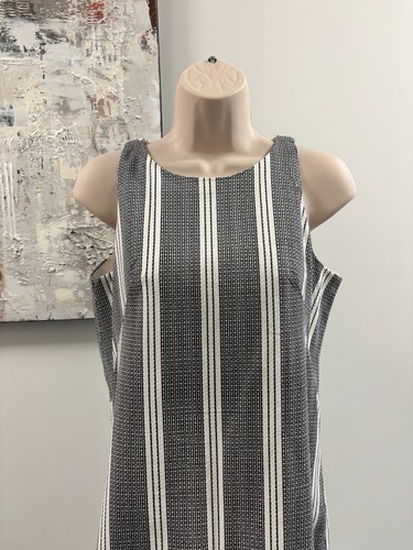 Ann Taylor Striped Shift Dress 6 Petite BNWT
