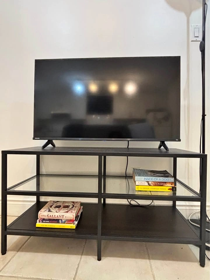 MOVING SALE TV and stand