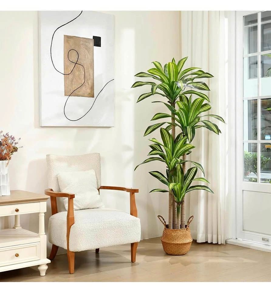 6Ft Artificial Dracaena Tree with Woven Basket