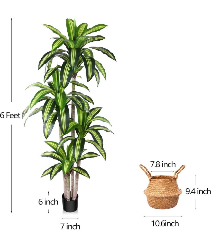 6Ft Artificial Dracaena Tree with Woven Basket - photo 3