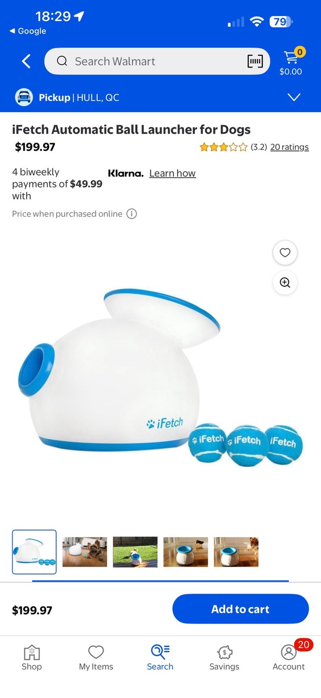 iFetch Ball Launcher - Small to Medium Dogs - photo 3