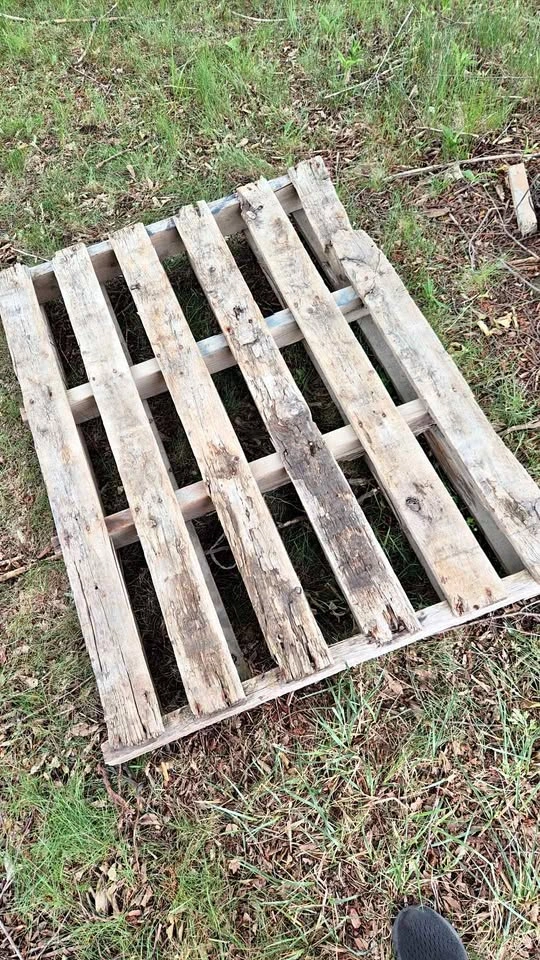 Pallet for sale