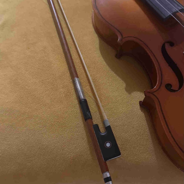 Albert Kramling Violin / Case / Bow - photo 2