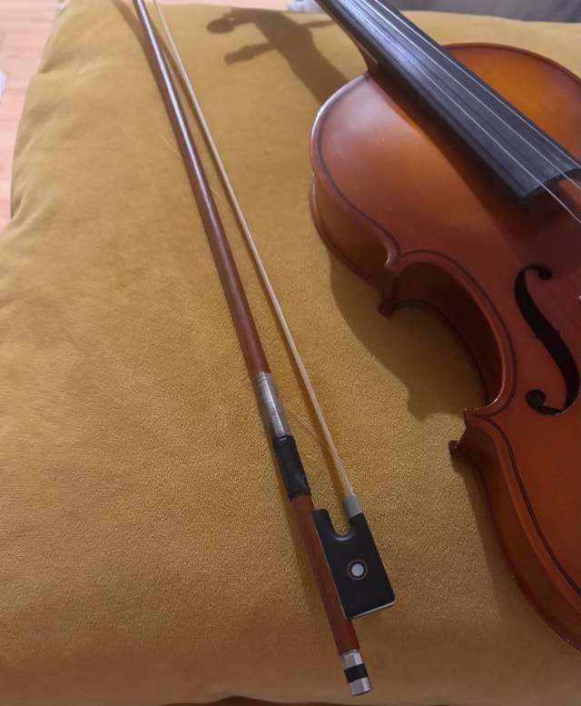 Albert Kramling Violin / Case / Bow - photo 5