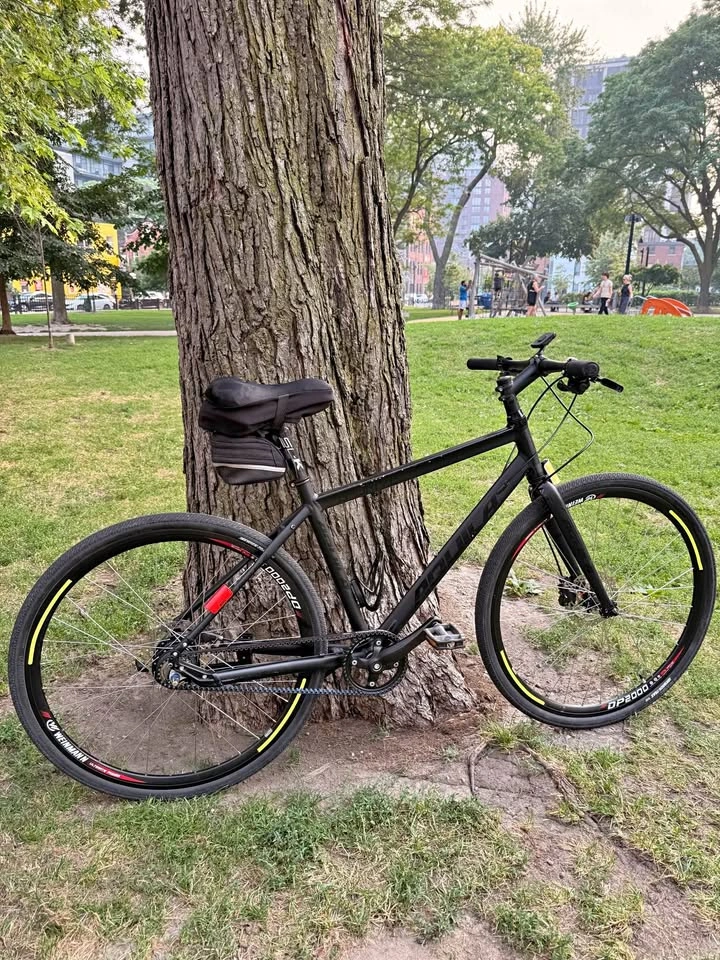 Aquila B-Drive Commuter Bike