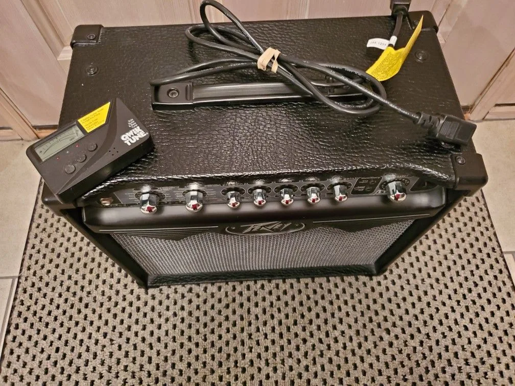 Peavey Vypyr 15 Modeling Combo Amp - 15 Watt - 1x8" image indicator(5)