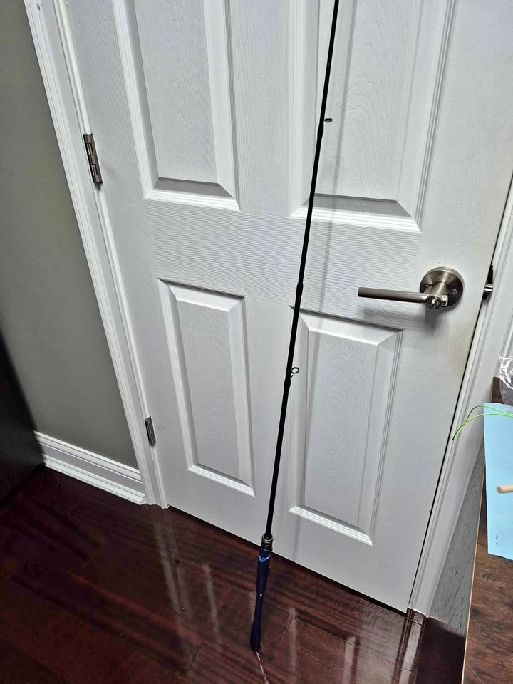 New Fishing Spinning rod