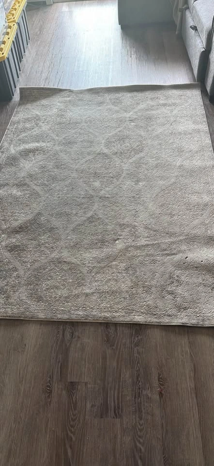 Area Rug – Beige/Cream – Good Condition - photo 2