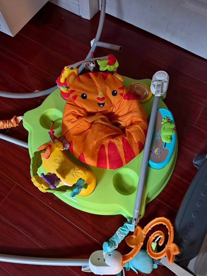 Fisher-Price Roarin' Rainforest Jumperoo