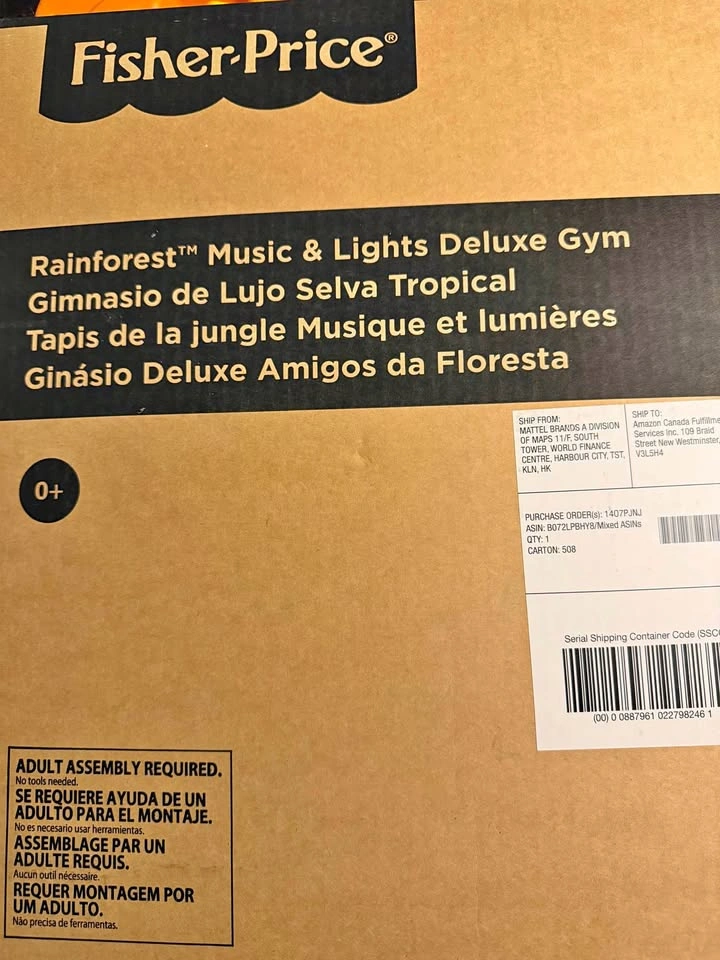 Fisher-Price Rainforest Music & Lights Deluxe Gym