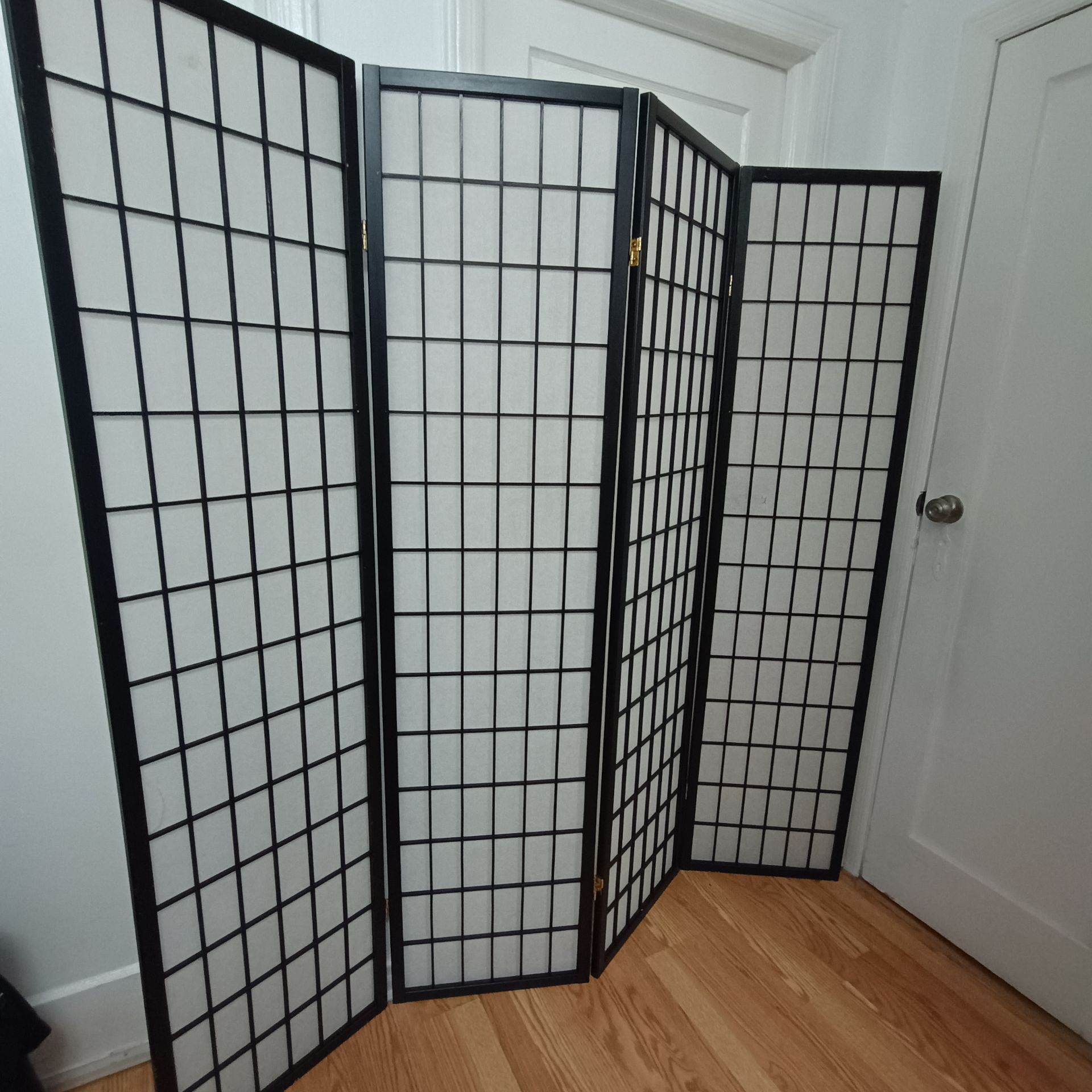 Black and White Room Divider - photo 5