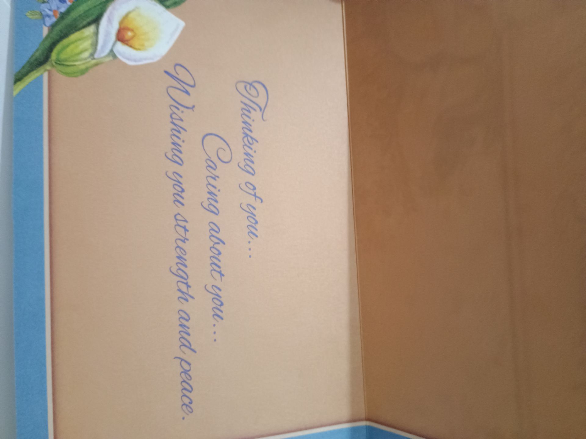 Lot of 13 Cards with Envelopes - photo 3