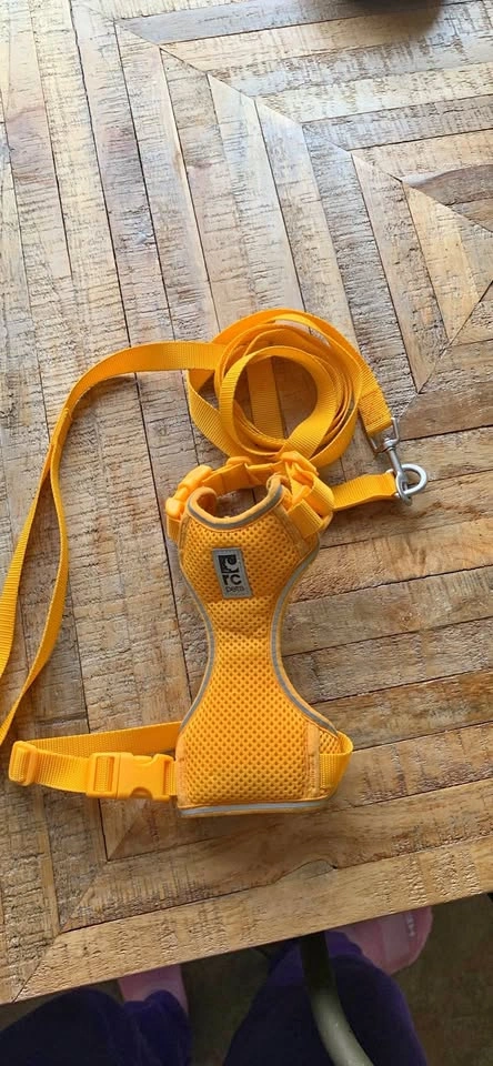 RC Pets Yellow Dog Cat Harness and Leash Set