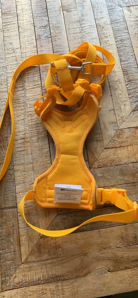 RC Pets Yellow Dog Cat Harness and Leash Set - photo 2